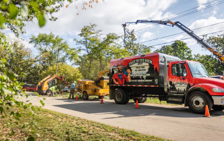 Arborist