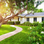 Beautiful white color single family home in Phoenix, Arizona USA with big green grass yard, large tree and roses